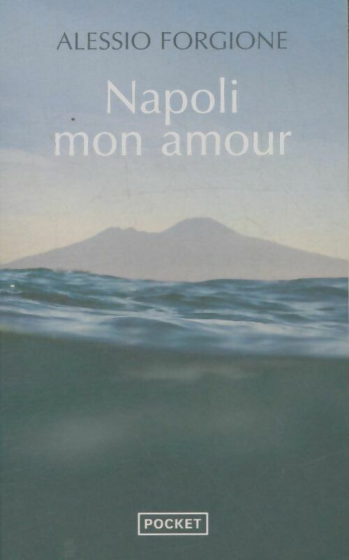 Livrenpoche : Napoli mon amour - Alessio Forgione - Livre