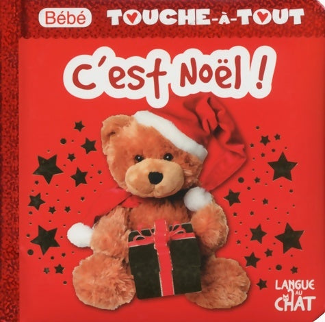Livrenpoche : Bébé touche-à-tout - c'est noël ! - Delphine Lacharron - Livre