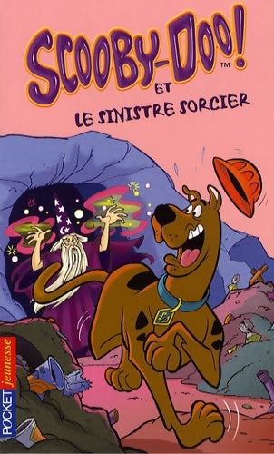 Livrenpoche : SCOOBY-DOO ET SINISTRE SORCIER - James Gelsey - Livre