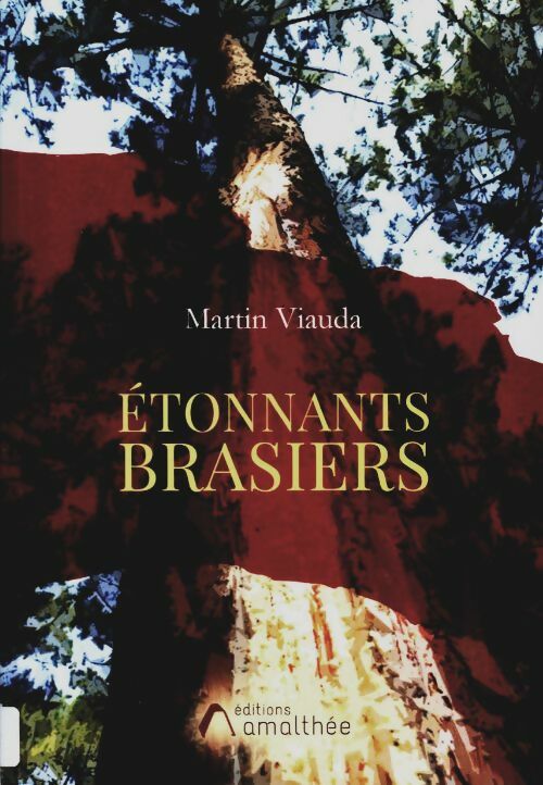 Livrenpoche : Etonnants brasiers - Martin Viauda - Livre