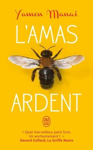 Livrenpoche : L'amas ardent - Yamen Manai - Livre