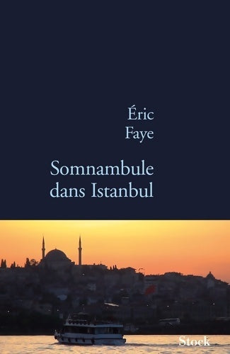 Livrenpoche : Somnambule dans Istanbul - Eric Faye - Livre