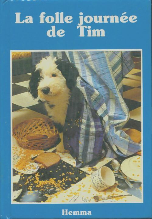 Livrenpoche : La folle journée de Tim - Michaël Sullivan - Livre