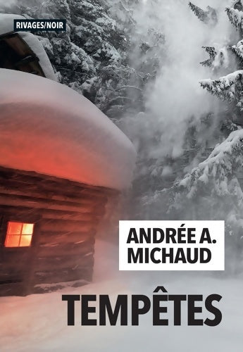 Livrenpoche : Tempêtes - Andrée Michaud - Livre