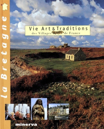 Vie, art & tradtions des villages de france : La Bretagne - Janine Trotereau - Livre
