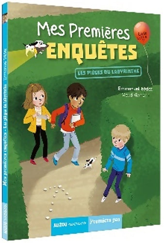 Livrenpoche : Mes premières enquêtes Tome X : Les pièges du labyrinthe - Emmanuel Trédez - Livre