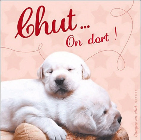Livrenpoche : CHUT ON DORT - Langue Au Chat - Livre
