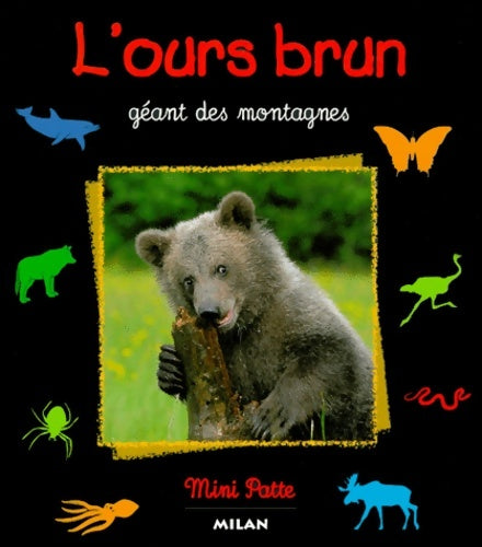Livrenpoche : L'Ours brun : Géant des montagnes - Valérie Tracqui - Livre