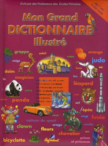Livrenpoche : Mon Grand Dictionnaire Illustré : Classes de CE dès 7 ans - Anonyme - Livre