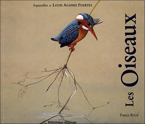 Les Oiseaux Fuertes - Roux - Livre