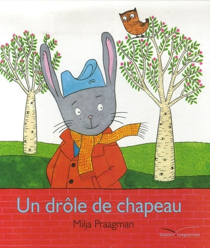 Livrenpoche : Un drôle de chapeau - Milja Praagman - Livre