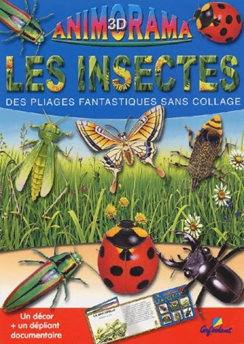 Livrenpoche : Les insectes : Des pliages fantastiques sans collage - Daniel Boudineau - Livre