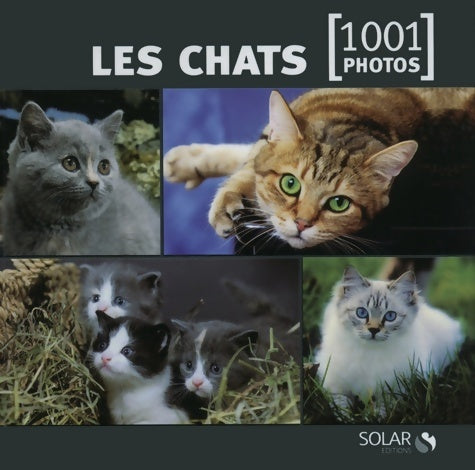 Livrenpoche : Les chats en 1001 photos NE - Collectif - Livre