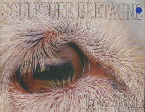 Livrenpoche : Sculpture Bretagne n°40 : Tendre & bestial - Collectif - Livre