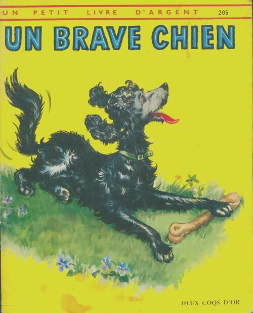 Livrenpoche : Un brave chien - Jennifer Curry - Livre
