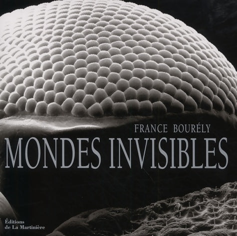 Livrenpoche : Mondes Invisibles. Eloge De La beauté cachée - France Bourély - Livre