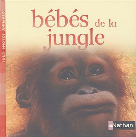 Livrenpoche : Bébés de la jungle - Tout Photos Animaux - Livre