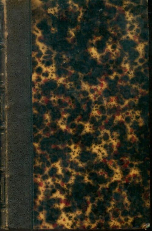 Livrenpoche : Les tyrans de village - Paul Meurice - Livre