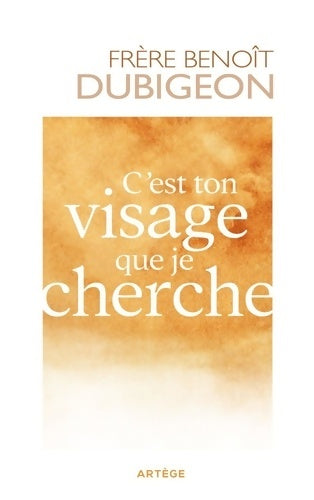 Livrenpoche : C'est ton visage que je cherche - Benoît Dubigeon - Livre