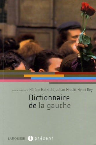 Livrenpoche : Dictionnaire de la gauche - Hélène Hatzfeld - Livre