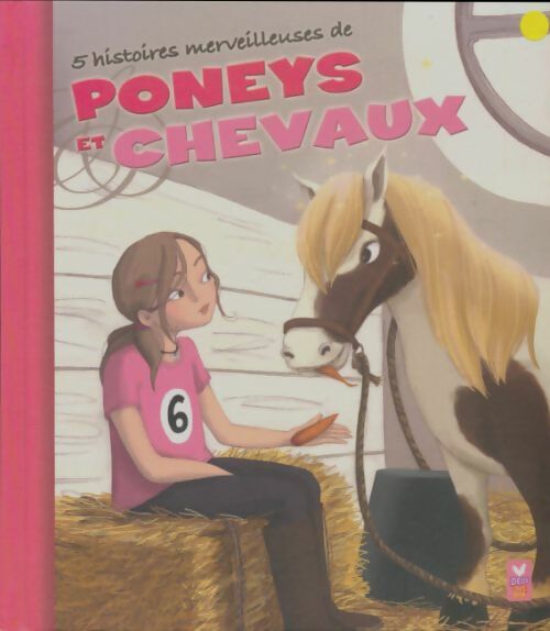 Livrenpoche : Cinq histoires merveilleuses de poneys et chevaux - Collectif - Livre