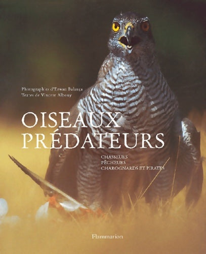 Livrenpoche : Oiseaux prédateurs chasseurs pêcheurs charognards et pirates - Vincent Albouy - Livre