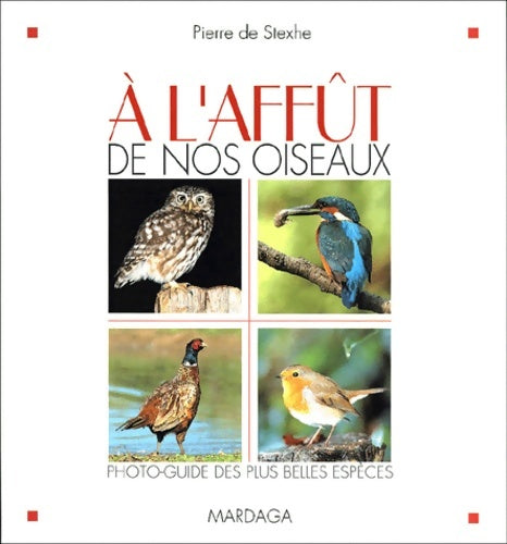 Livrenpoche : A L'AFFUT DE NOS OISEAUX - STEXHE P. DE - Livre