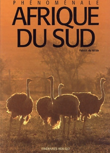 Livrenpoche : Afrique du Sud phénoménale - Guide Makila - Livre