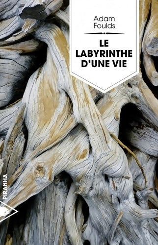 Livrenpoche : Le labyrinthe d'une vie - Adam Foulds - Livre