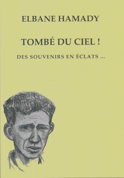 Livrenpoche : Tombé du ciel - Elbane Hamady - Livre