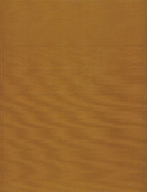 Livrenpoche : Dictionnaire des églises de France Tome IV  - Collectif - Livre