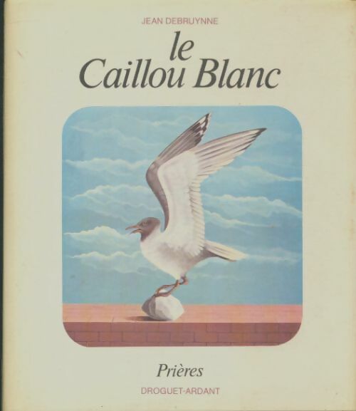 Livrenpoche : Le caillou blanc - Jean Debruynne - Livre