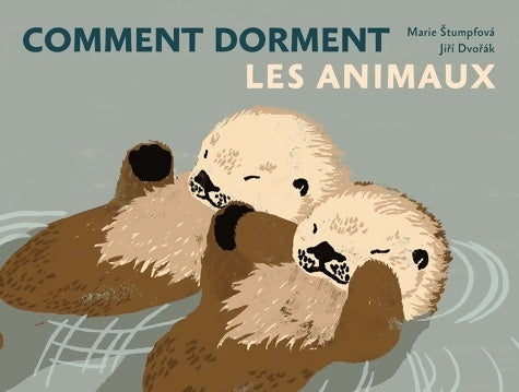 Livrenpoche : COMMENT DORMENT LES ANIMAUX - Marie Stumpfova - Livre