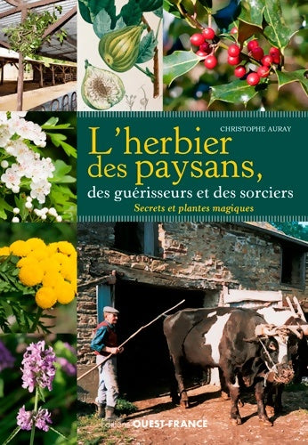 Livrenpoche : L'herbier des paysans des guérisseurs et des sorciers - Christophe Auray - Livre