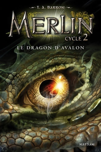 Livrenpoche : Merlin cycle 2 : Le Dragon d'Avalon - T. A. Barron - Livre