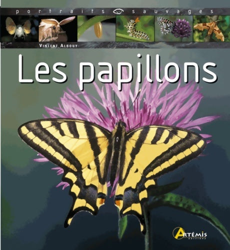 Livrenpoche : Les papillons - Vincent Albouy - Livre