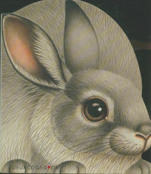 Livrenpoche : Le lapin de la colline - Lorella Rizzatti - Livre