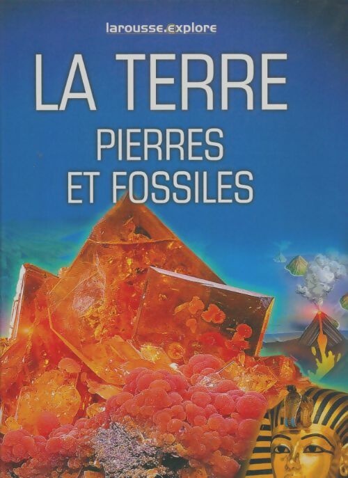 Livrenpoche : La terre : Pierres et fossiles - Tracy Staedter - Livre