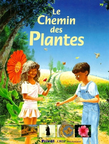 Livrenpoche : Le chemin des plantes - Corinne Daillant-Losier - Livre