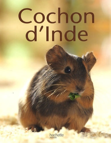 Livrenpoche : Cochon d'inde - Immanuel Birmelin - Livre