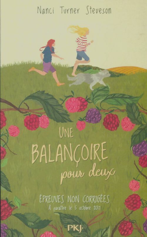 Livrenpoche : Une balançoire pour deux - Nanci Turner Steveson - Livre