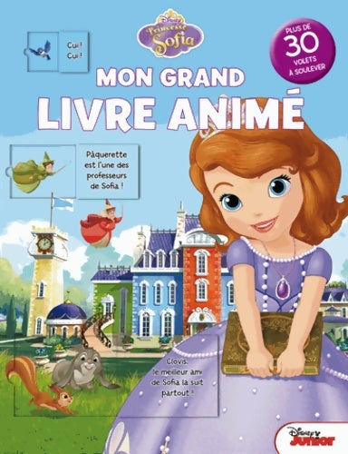 Livrenpoche : Mon grand livre animé Princesse Sofia - Hachette Jeunesse - Livre