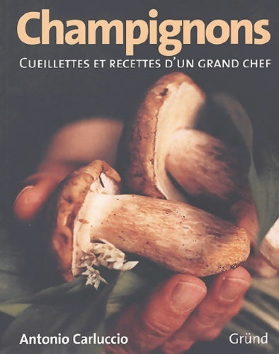 Livrenpoche : Les champignons : Cueillettes et recettes d'un grand Chef - Antonio Carluccio - Livre