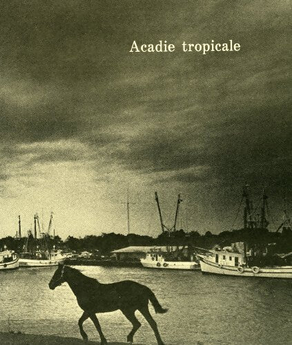 Livrenpoche : Acadie tropicale - Collectif - Livre