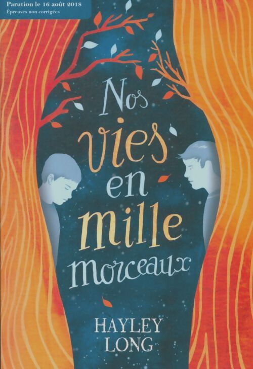 Livrenpoche : Nos vies en mille morceaux - Hayley Long - Livre