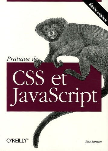 Livrenpoche : Pratique de CSS et JavaScript - Eric Sarrion - Livre