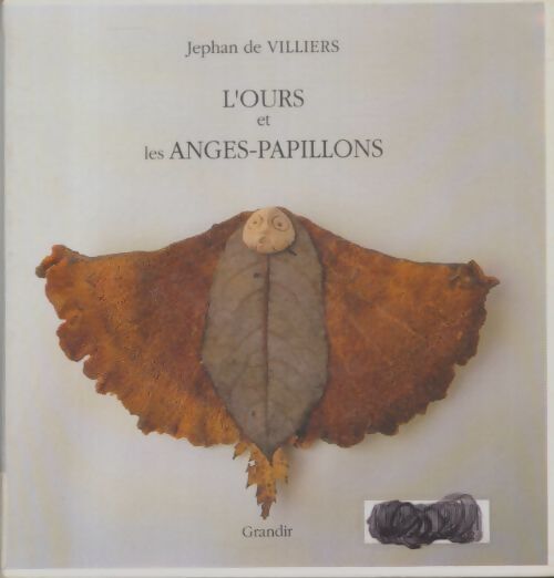Livrenpoche : L'ours et les anges-papillons - Jephan De Villiers - Livre