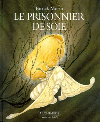 Livrenpoche : Le Prisonnier de soie - Patrick Morin - Livre