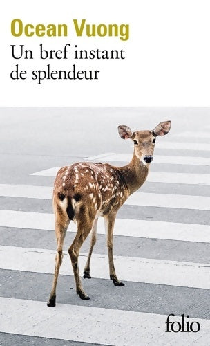 Livrenpoche : Un bref instant de splendeur - océan Vuong - Livre