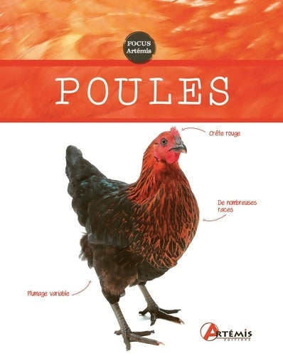 Livrenpoche : Poules - Collectif - Livre